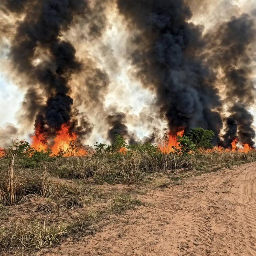 Incêndio mobiliza Bombeiros na divisa de Primavera do Leste e Poxoréu