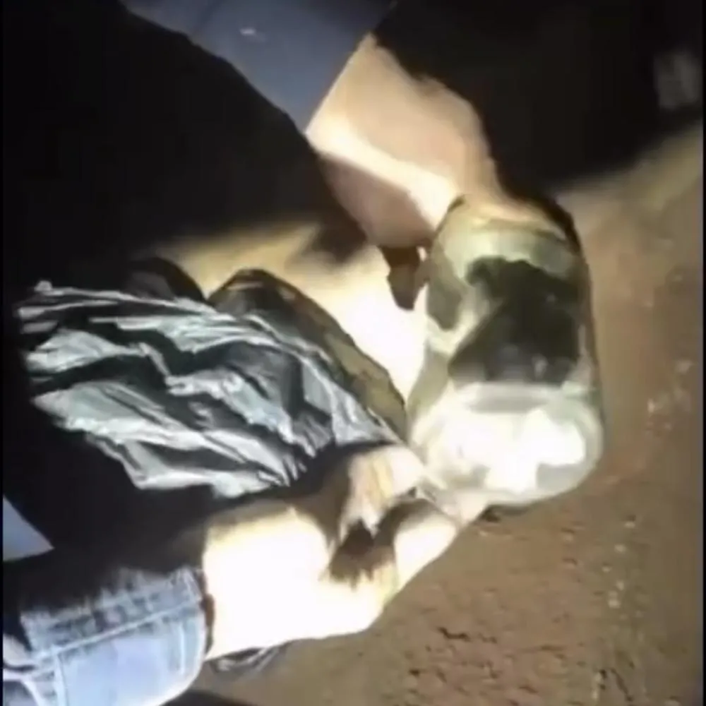 Dois são presos por tráfico de drogas em Jaciara