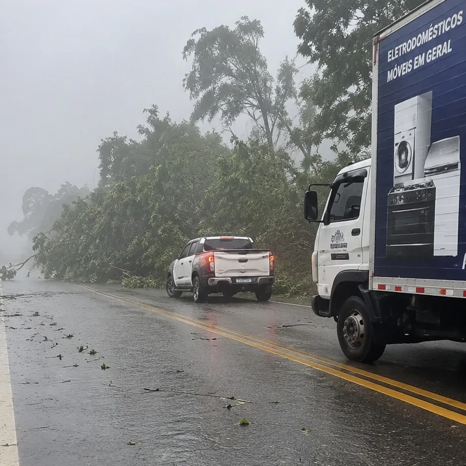 Chuva forte arranca árvores e deixa imóveis danificados em Jauru e Araputanga