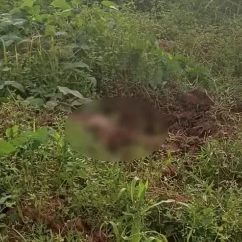 Ossada humana é encontrada em creche de General Carneiro