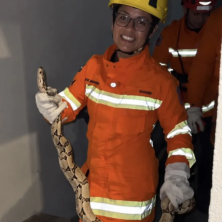 Morador leva susto ao encontrar jiboia na garagem de casa em Sinop