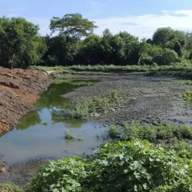 Área é embargada após poluição de córrego em Mirassol D’Oeste