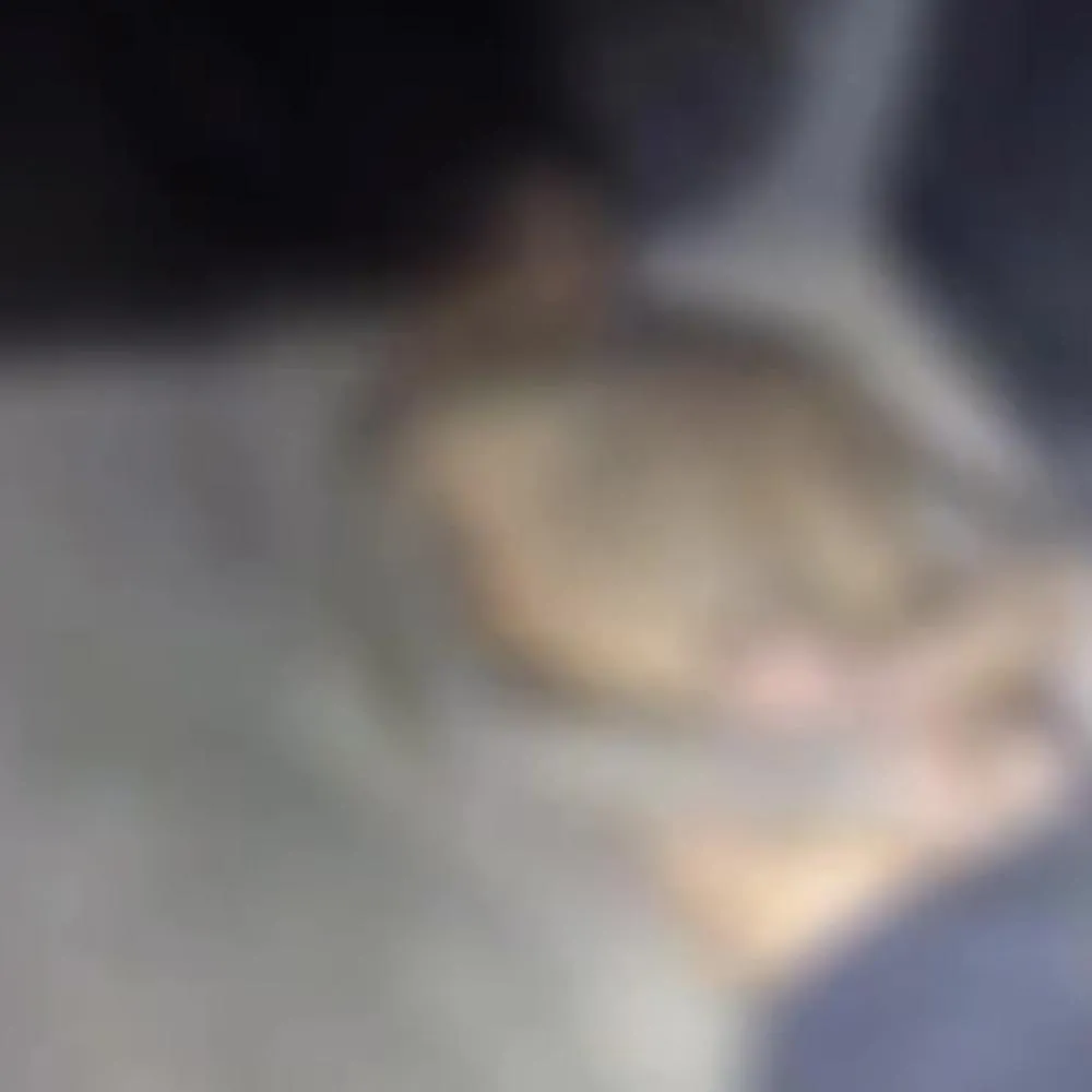 Caso de violência termina com suspeito ferido em Várzea Grande