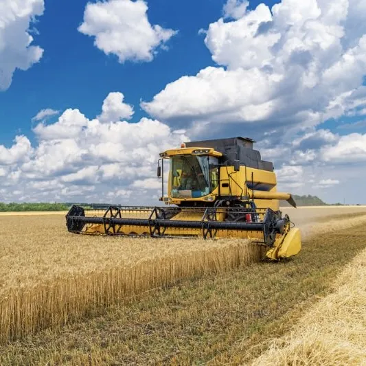 Safra histórica reforça força do agro em Mato Grosso