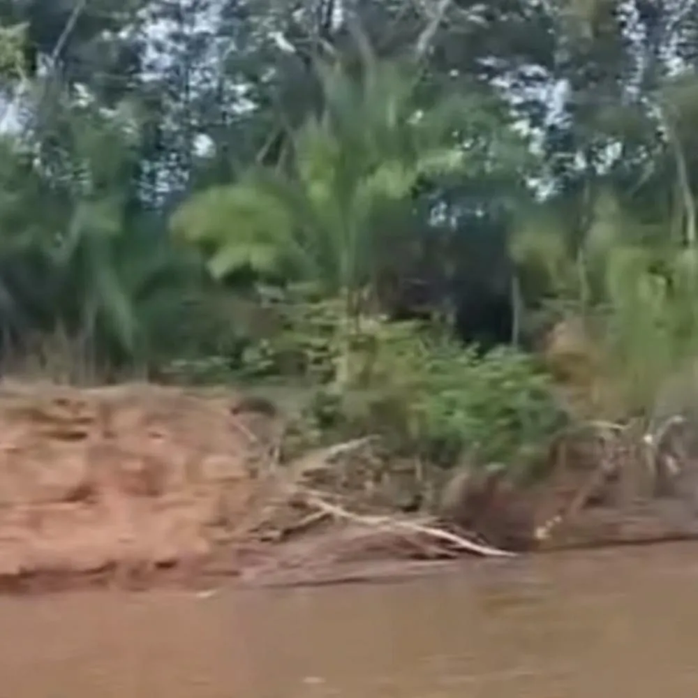Flagrante de onça em Rondonópolis chama atenção de pescadores