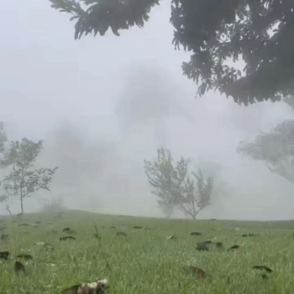 Cenário de filme marca manhã de sexta-feira em Chapada dos Guimarães