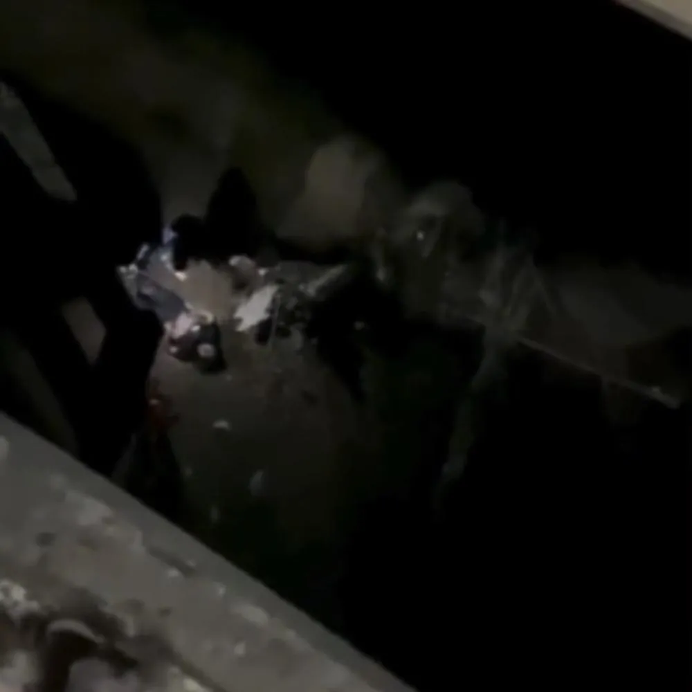 Jovem sofre queda de 15 metros em ponte sobre o Rio Coxipó