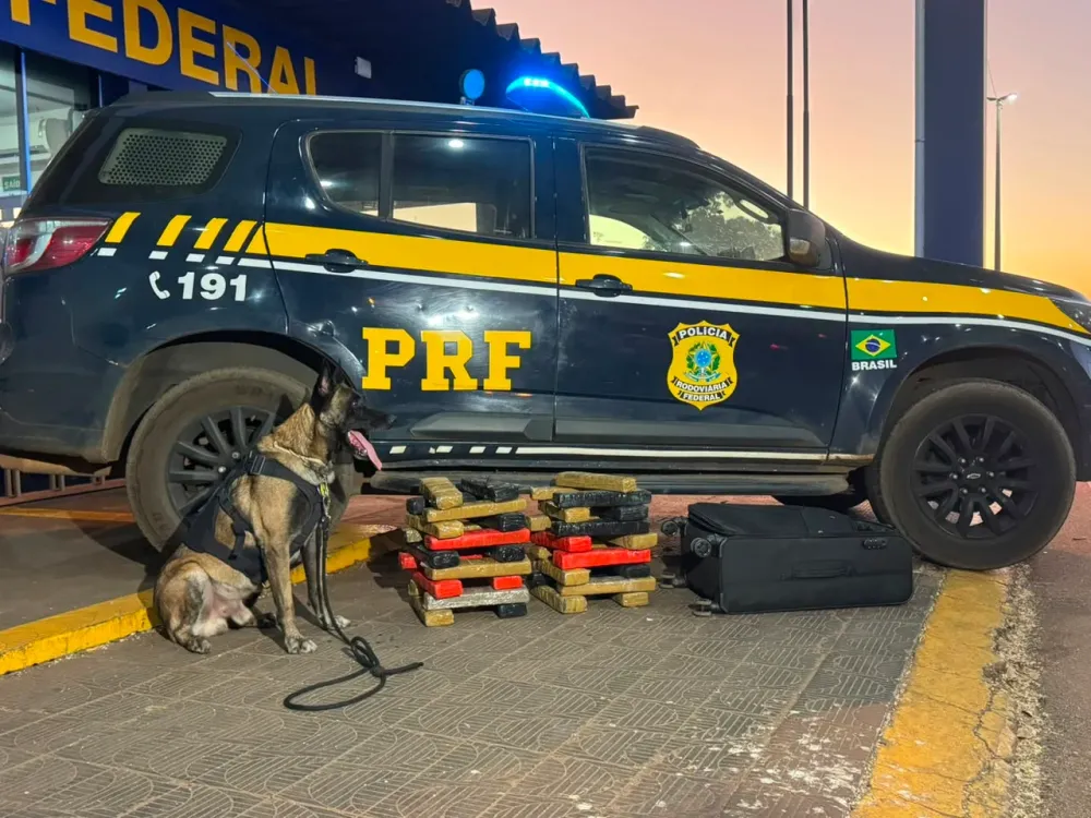 PRF apreende mais de 35 tabletes de maconha na BR-364