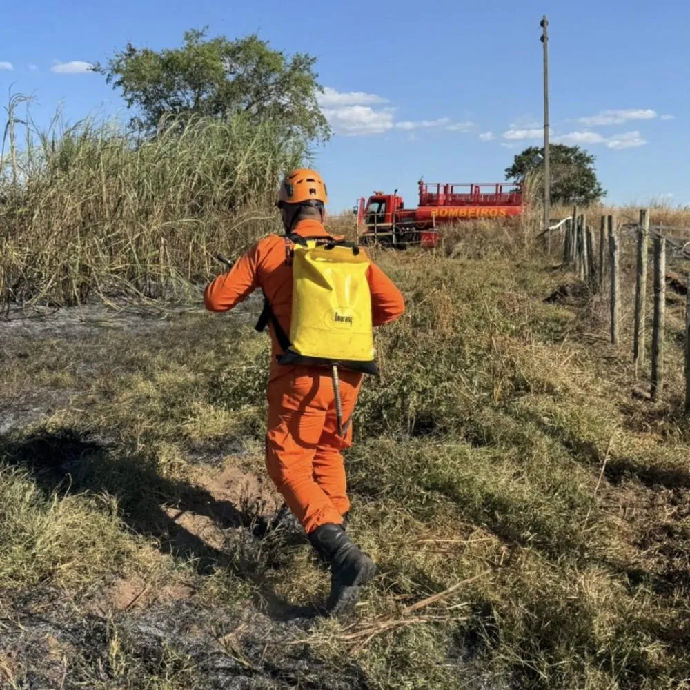 Incêndio em vegetação mobiliza bombeiros em área rural de Poxoréu