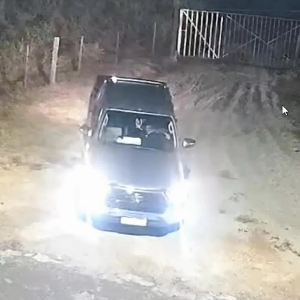Câmeras registram abandono de cachorro em Barra do Garças