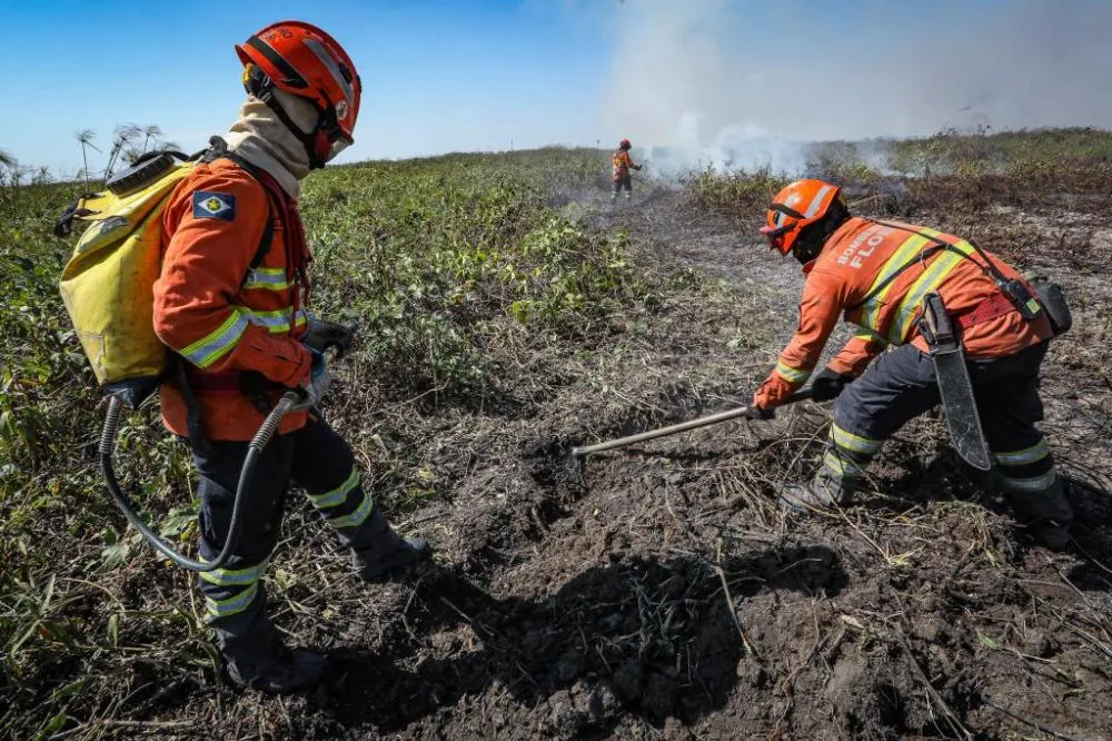 Corpo de Bombeiros abrem 150 vagas para brigadistas em Mato Grosso
