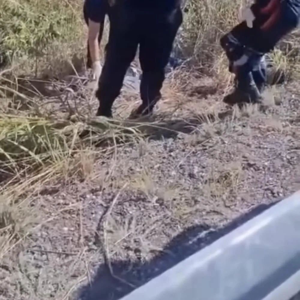 Passeio de motociclistas termina em tragédia na MT-251