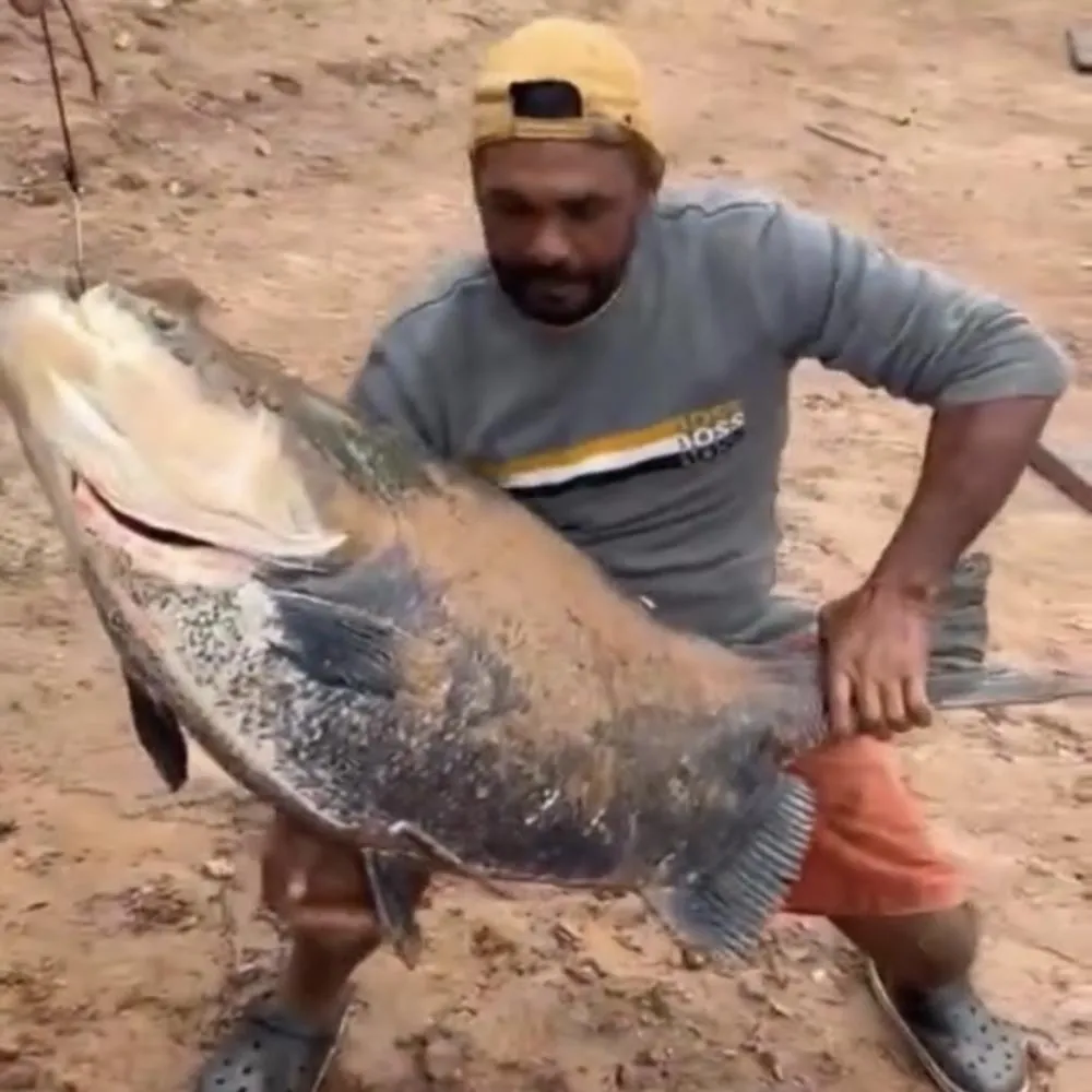 Tambaqui de 40 quilos impressiona pescadores em Santo Antônio de Leverger
