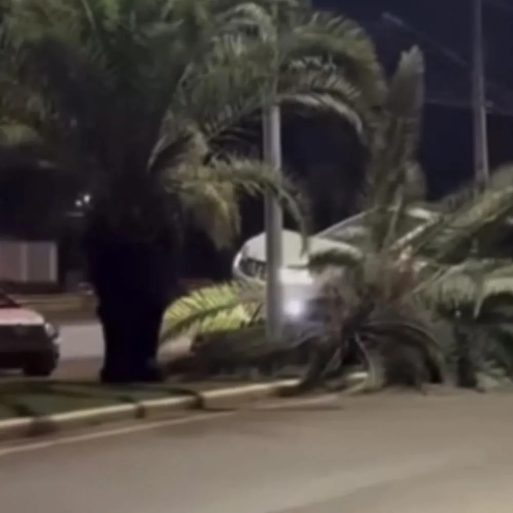 Jeep Compass sai da pista e bate em canteiro central em Lucas do Rio Verde