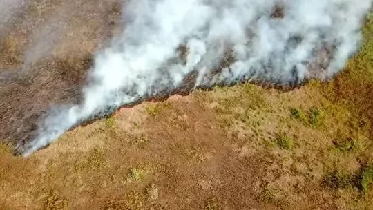 Proibição do uso do fogo começou nesta quarta-feira (1) em Mato Grosso