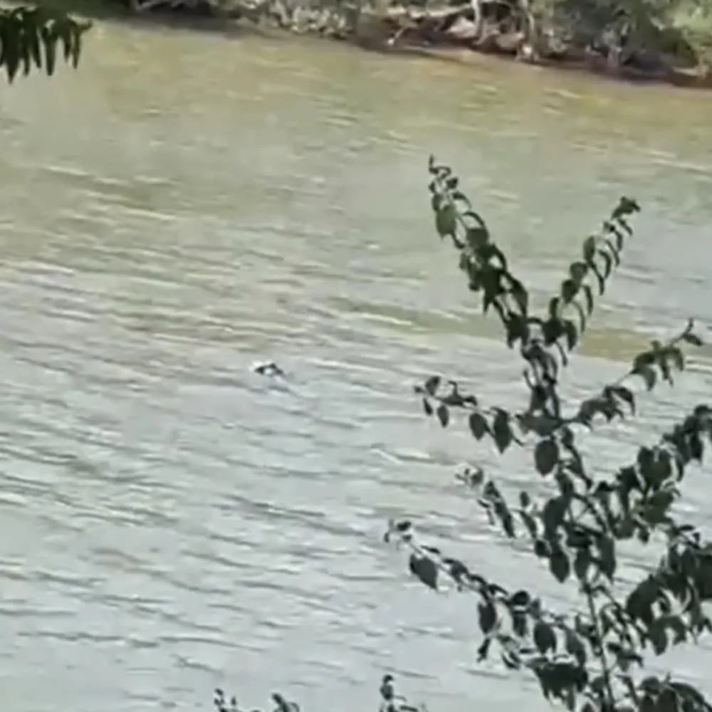 Homem monitorado por tornozeleira é encontrado morto no Rio Cuiabá