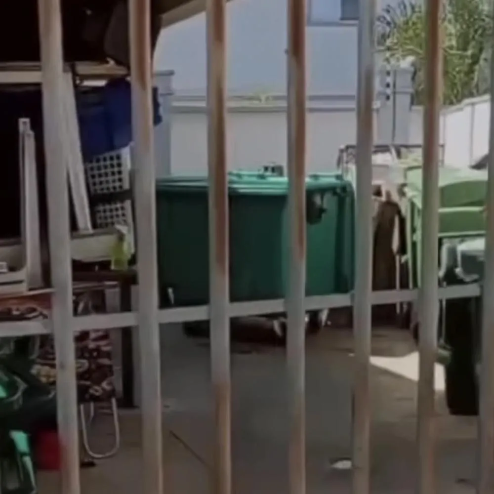 Delegado afirma que bebê achado morto estava totalmente formado
