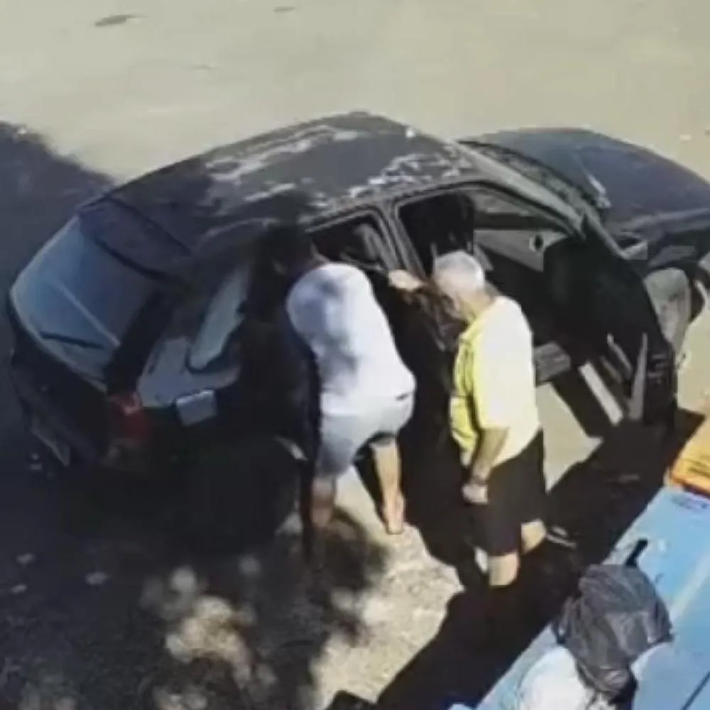 Vídeo mostra abandono de filhotes na MT-442 e leva à prisão de suspeito