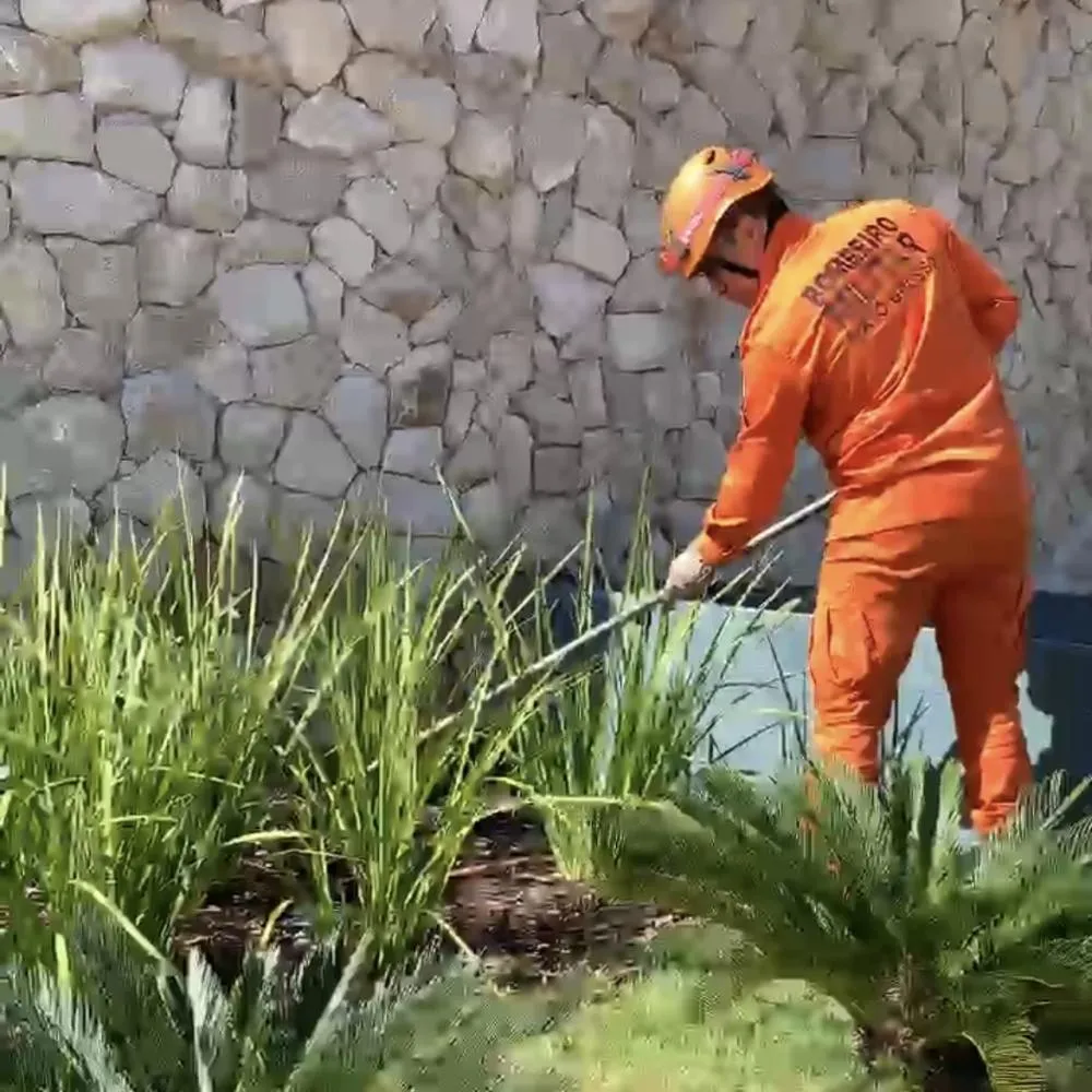 Corpo de Bombeiros captura serpente em entrada de condomínio em Primavera do Leste